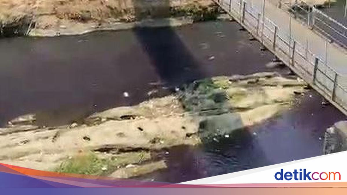 Aliran air Sungai Brantas di Malang berubah warna menjadi ungu gelap