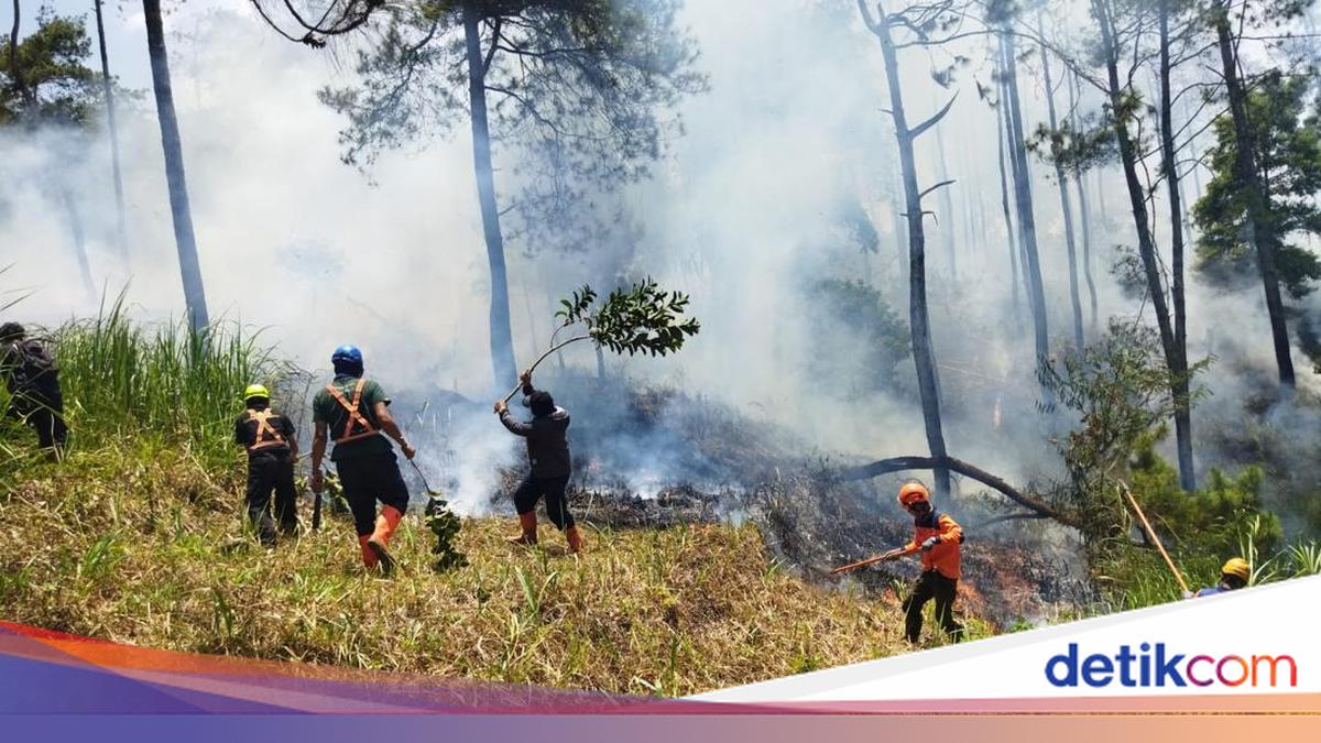 Asap mengepul dari kawasan hutan lereng Gunung Panderman yang mengalami kebakaran lahan