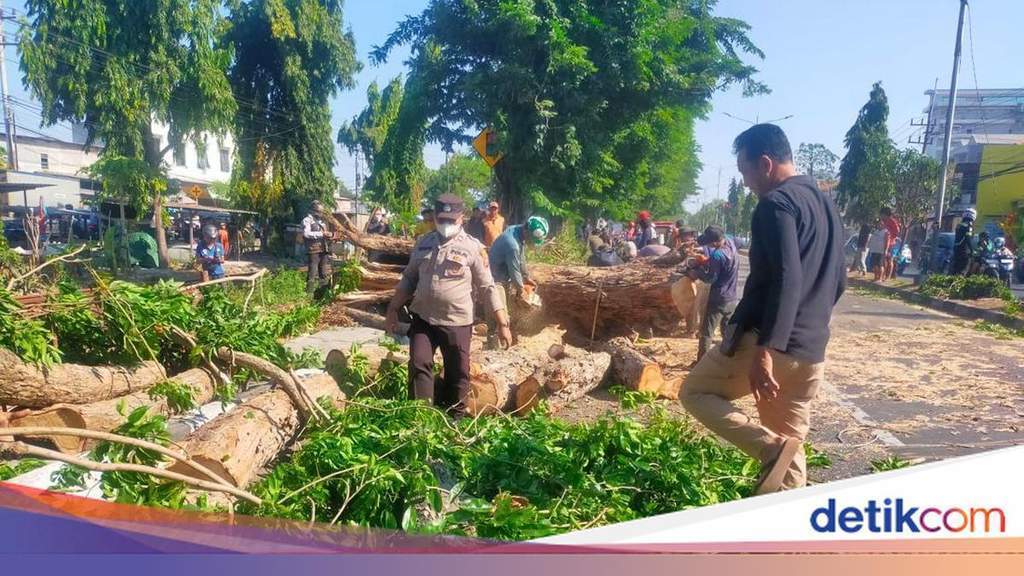 Evakuasi pohon tumbang di Jalan Raya Tebel Sidoarjo oleh petugas kepolisian