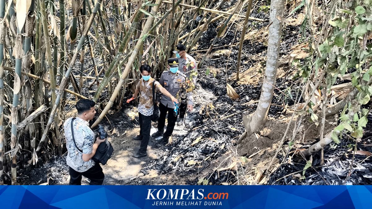 Ilustrasi evakuasi korban kebakaran kebun bambu di Blitar