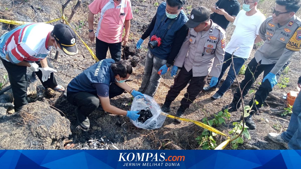 Ilustrasi garis polisi di kawasan hutan tempat penemuan kerangka manusia di Lamongan