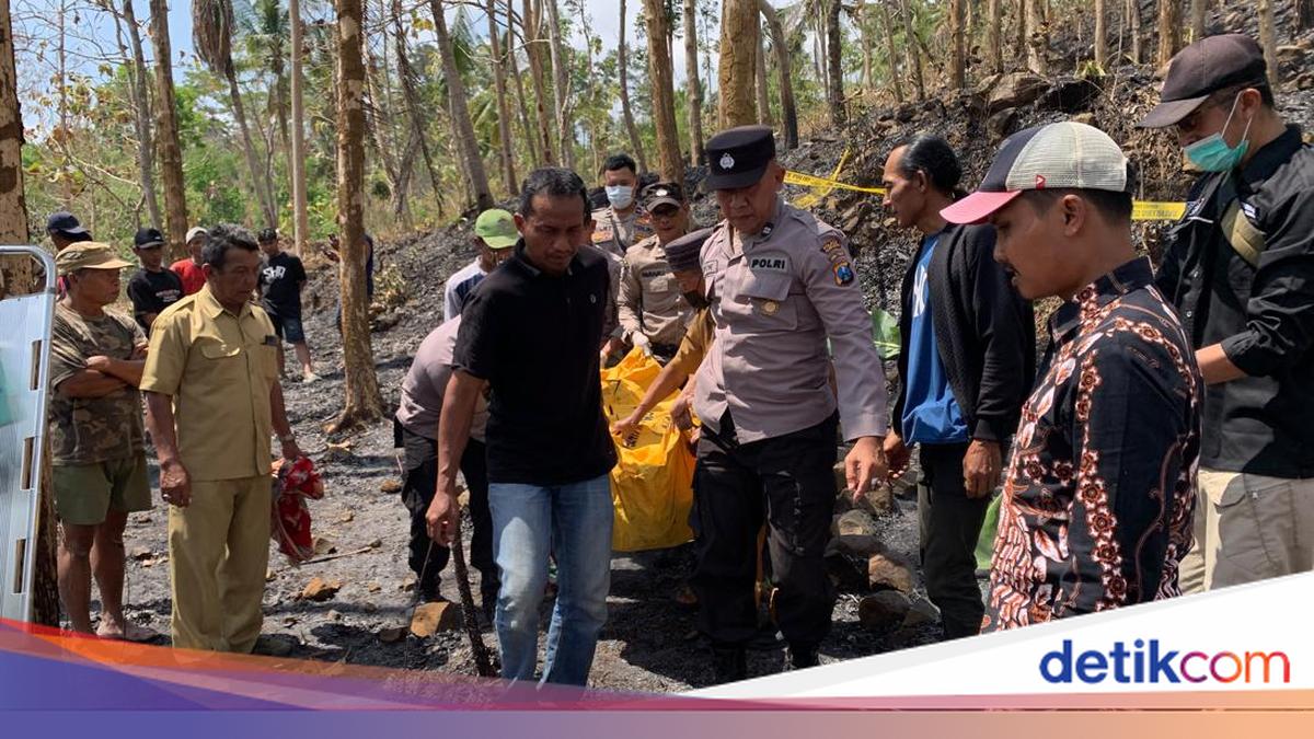 Ilustrasi kawasan hutan jati dan evakuasi korban kebakaran lahan di Tulungagung