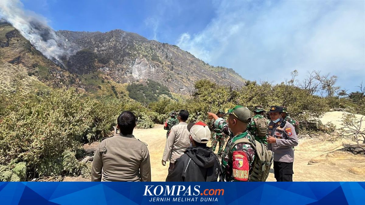 Ilustrasi kebakaran hutan dan lahan yang meluas di kawasan pegunungan