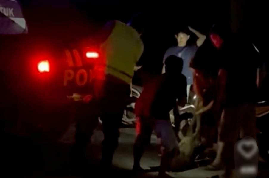 Ilustrasi kecelakaan motor akibat babi hutan menyeberang jalan di Ponorogo