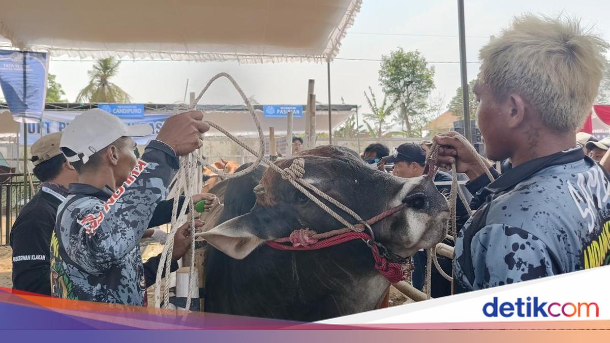 Ilustrasi penanganan medis anak dan layanan kesehatan di rumah sakit daerah