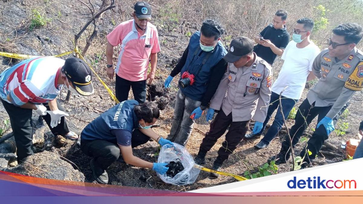 Ilustrasi penemuan kerangka manusia di hutan Lamongan