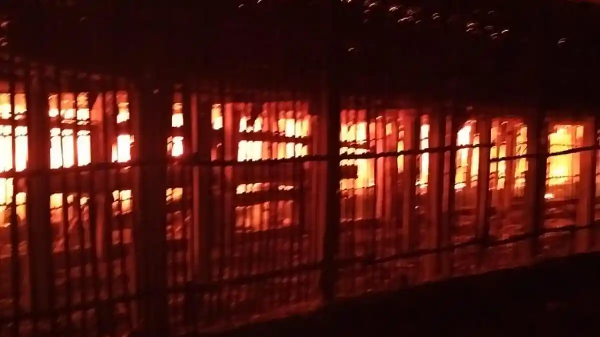 Kandang Ayam di Tulungagung Terbakar, 3.100 Ekor Mati Dilalap Api