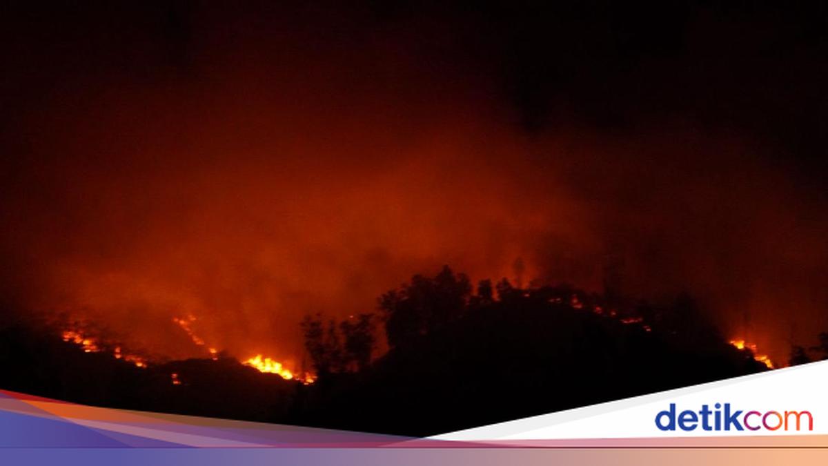 Kebakaran hutan dan lahan di kawasan Gunung Ijen meluas
