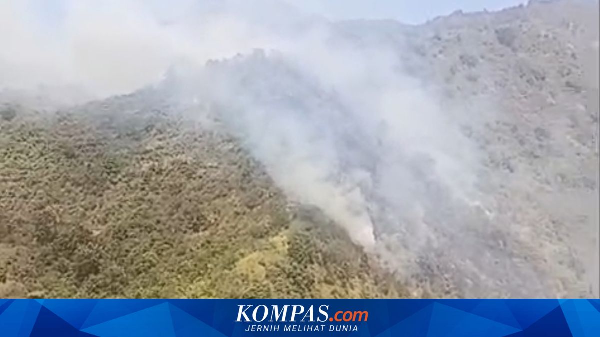 Kebakaran hutan dan lahan melanda kawasan lereng Gunung Bromo di TNBTS