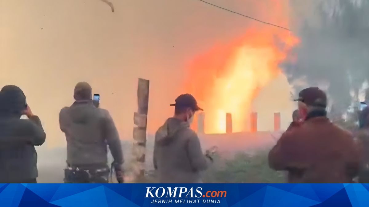 Kebakaran hutan di Bromo meluas hingga kawasan Jemplang