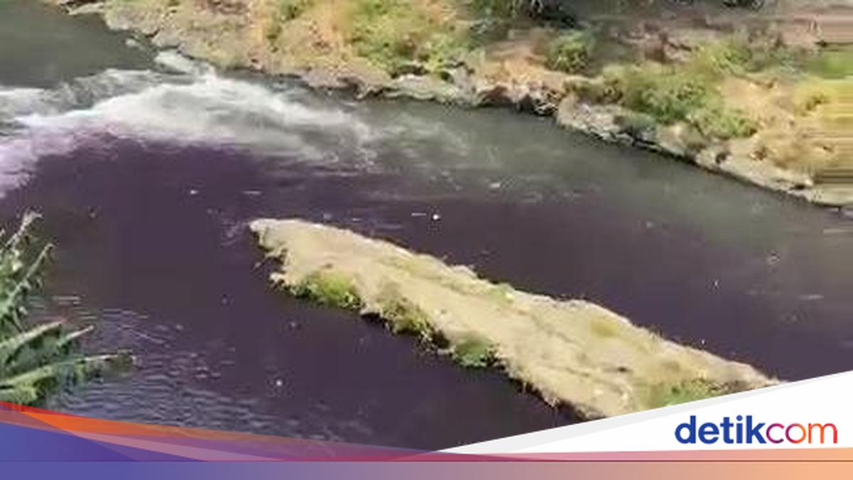 Kondisi air Sungai Brantas di Malang yang berubah warna menjadi ungu gelap.