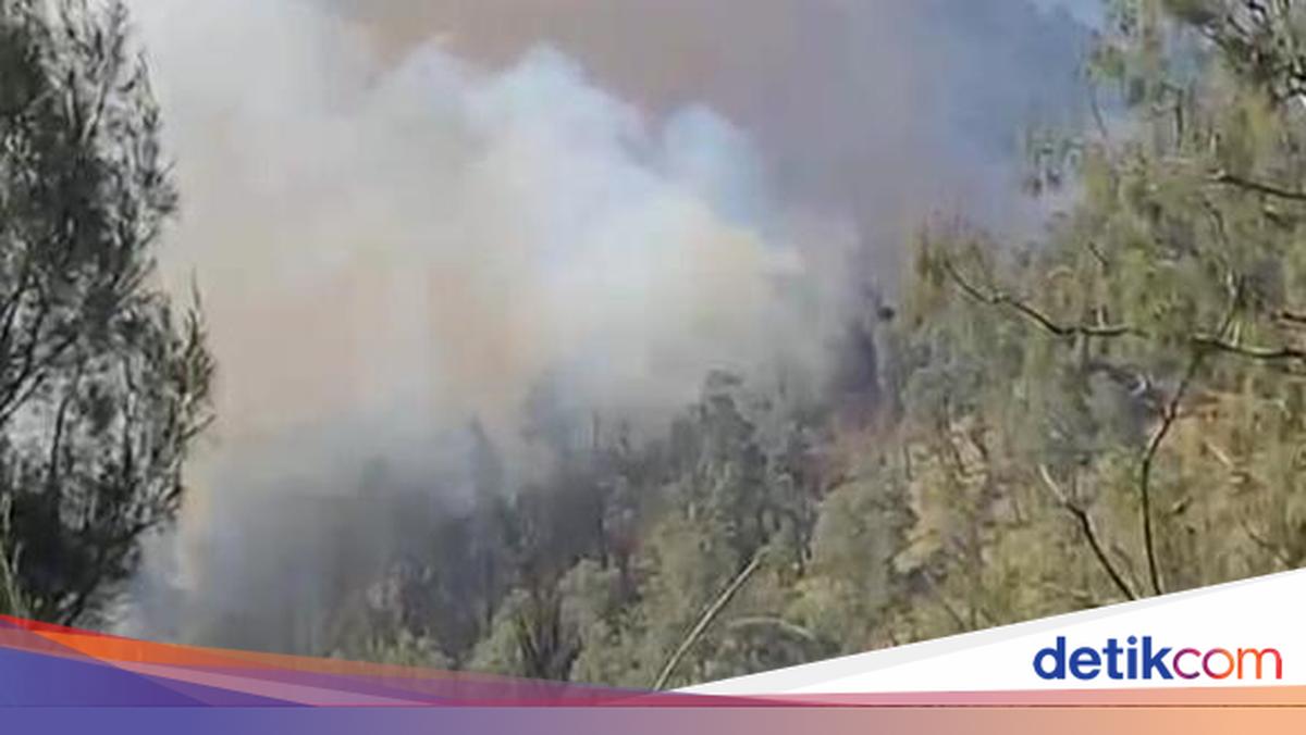 Kondisi kebakaran hutan dan lahan di kawasan Pegunungan Kawi yang masih belum padam.