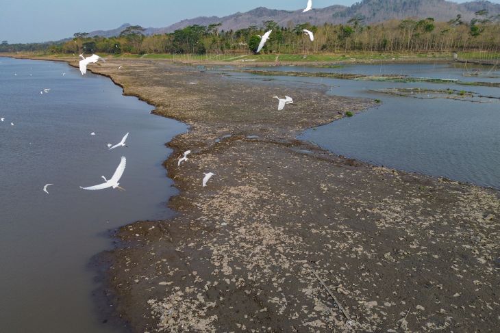 Petani menggarap lahan pertanian jagung di kawasan Waduk Sutami Kabupaten Malang