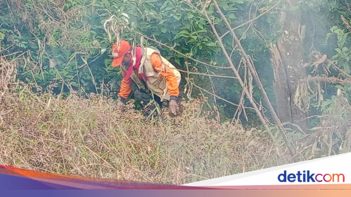Petugas BPBD Jatim memantau kawasan hutan yang terdampak karhutla