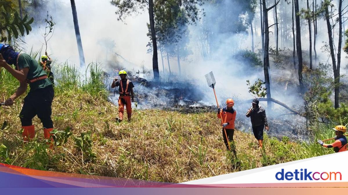 Petugas dan relawan berjibaku memadamkan kebakaran di Lereng Gunung Panderman Kota Batu