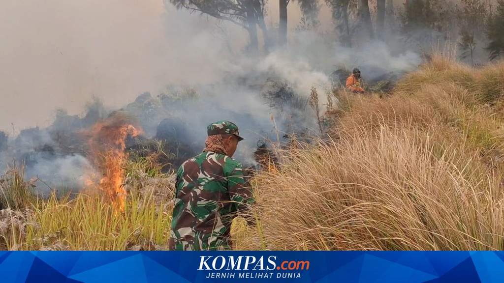 Petugas dan tim khusus Kemenhut saat meninjau lokasi kebakaran hutan di Gunung Bromo