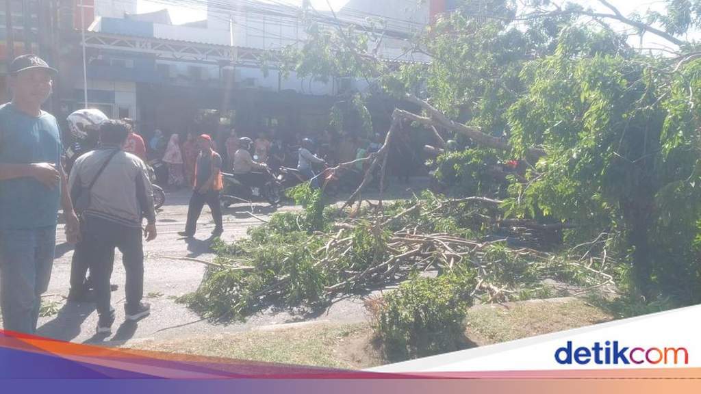 Petugas gabungan mengevakuasi pohon tumbang di Jalan Raya Tebel Sidoarjo