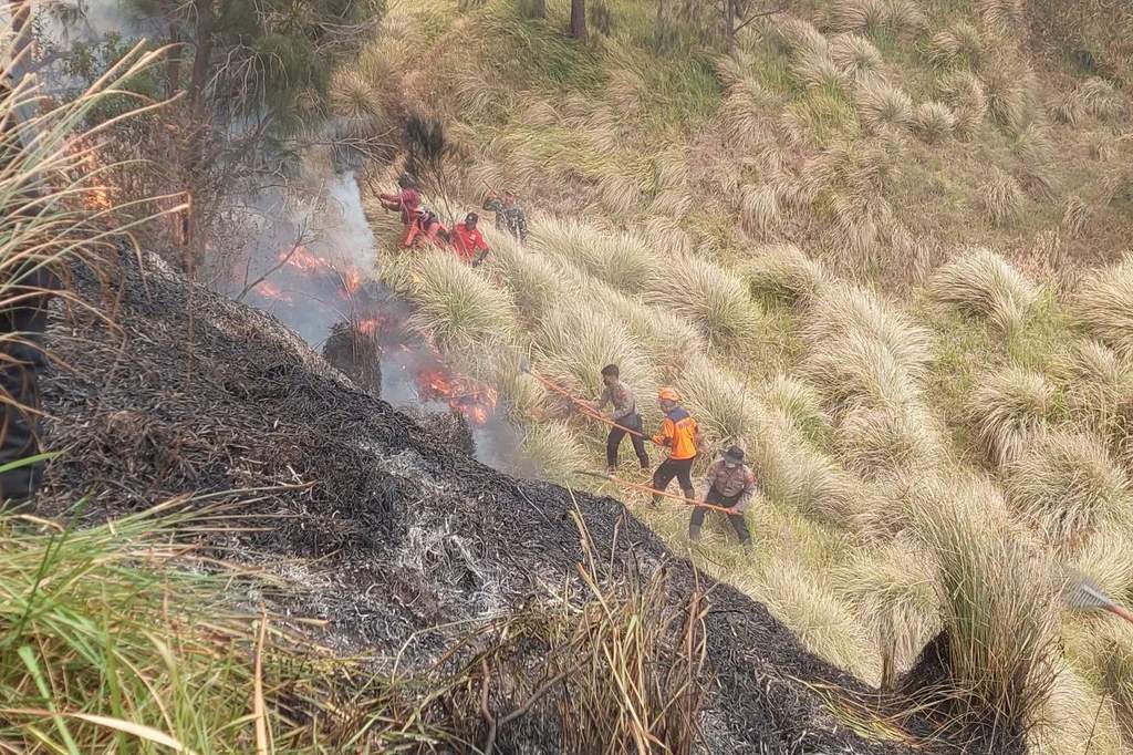 Petugas memantau titik asap di kawasan Gunung Bromo