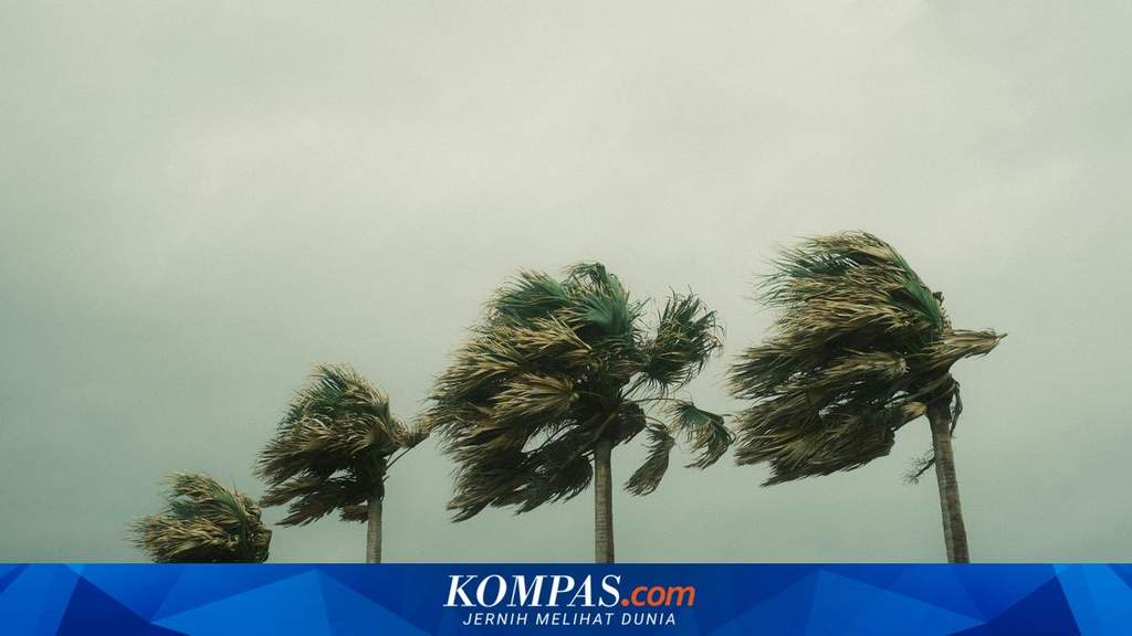 Pohon tumbang akibat angin kencang yang melanda wilayah Jawa Timur