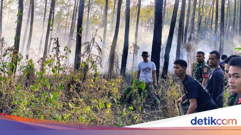 Tim gabungan berjibaku memadamkan karhutla di dekat Mako Yon 514 Raider Bondowoso