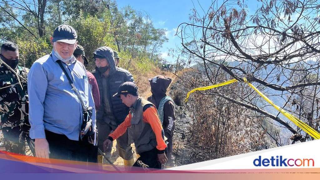 Tim khusus Kementerian Kehutanan selidiki kebakaran Bromo